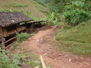 文告自然村 文告自然村