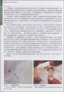 豬病診治彩色圖譜 豬病診治彩色圖譜