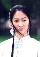 刺虎[呂良偉、李小冉主演電視劇]