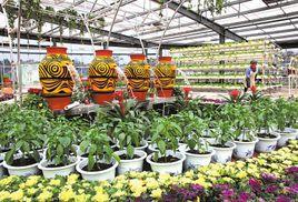 樂山蔬菜高科技博覽園 樂山蔬菜高科技博覽園