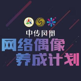 網路偶像養成計畫 網路偶像養成計畫