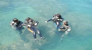 水肺岸潛 水肺岸潛