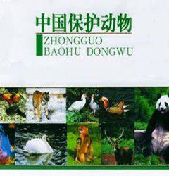 國家重點保護野生動物名錄 國家重點保護野生動物名錄