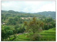 王家山自然村 王家山自然村