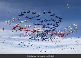 HALO跳傘 HALO跳傘