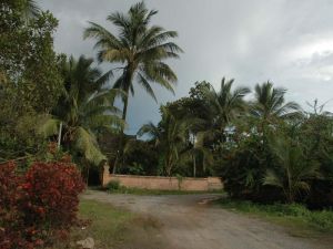 曼邁囡村 曼邁囡村