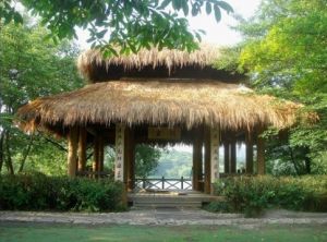 上香古道 上香古道