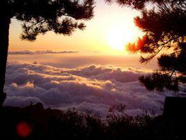 王莽嶺風景區 王莽嶺風景區