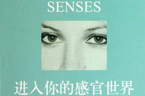 進入你的感官世界