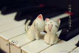 米可的999封情書