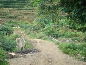 河壩子自然村村內道路