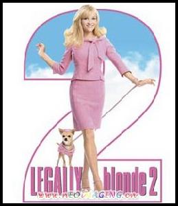 《律政俏佳人2》