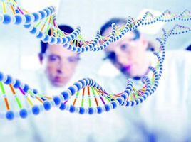 DNA存儲技術 DNA存儲技術