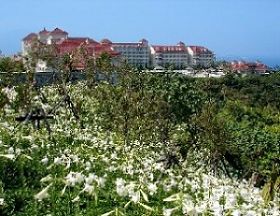 （圖）撒奇萊雅族