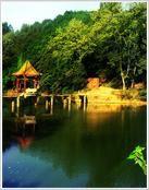 龍泉湖森林公園 龍泉湖森林公園