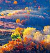 夏天千萬別去內蒙古!我是認真的... 夏天千萬別去內蒙古!我是認真的...