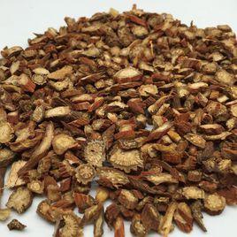 萊蕪白花丹參 萊蕪白花丹參