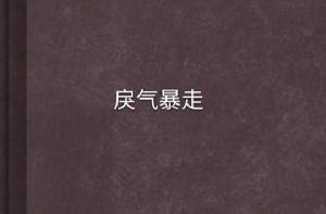 戾氣暴走 戾氣暴走