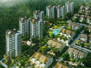 新會自然居 新會自然居