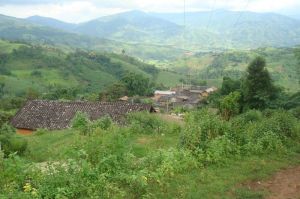 龍準坡自然村 龍準坡自然村