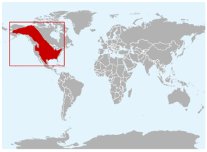 美洲草原野牛分布圖