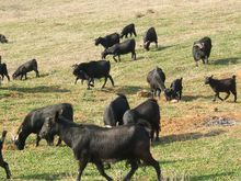 下磨石溝村 下磨石溝村