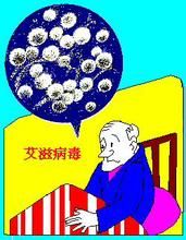 人免疫缺陷病毒感染性腎損害 人免疫缺陷病毒感染性腎損害