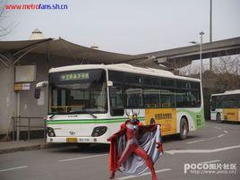 泰羅專線 泰羅專線