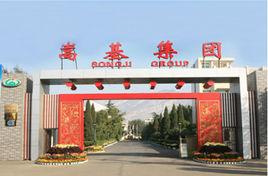 嵩基集團 嵩基集團