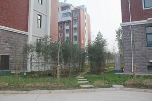 格林·綠色港灣