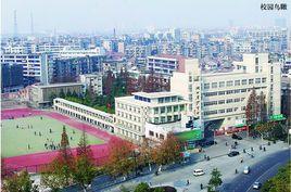 沙石中學 沙石中學