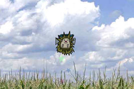 飛天刺蝟2 飛天刺蝟2