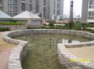 華城綠洲 華城綠洲