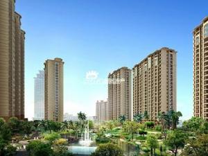 和平國際 和平國際