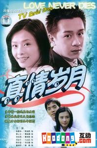 《真情歲月》 《真情歲月》