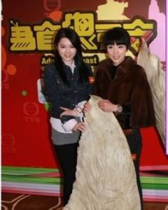 為食總司令 為食總司令