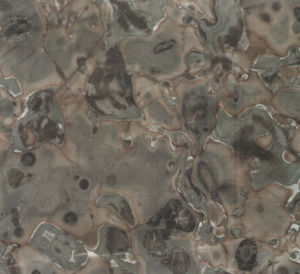 木紋玉-反切 木紋玉-反切