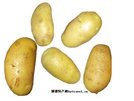 世界馬鈴薯之鄉 世界馬鈴薯之鄉