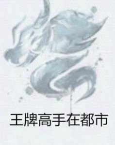 王牌高手在都市 王牌高手在都市