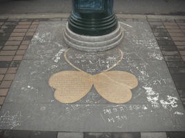 南京市科教蝴蝶博物館 南京市科教蝴蝶博物館
