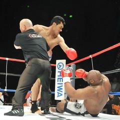 鮑伯·薩普 鮑伯·薩普