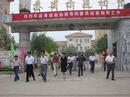 崔寨國小 崔寨國小