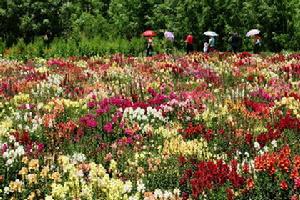 格薩拉生態旅遊區