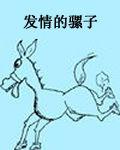 發情的騾子