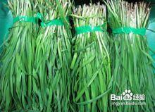 正常韭菜與藍礬韭菜對比