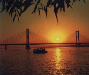 淮畔觀柳 淮畔觀柳