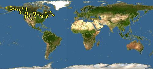 加拿大猞猁分布圖