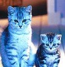 《一個人的好天氣》