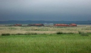 白音錫勒 白音錫勒