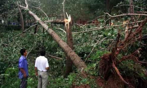 石浪頭村 石浪頭村